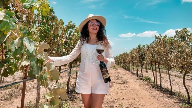 Queretaro_y_sus_Vinedos_3_dias_2025